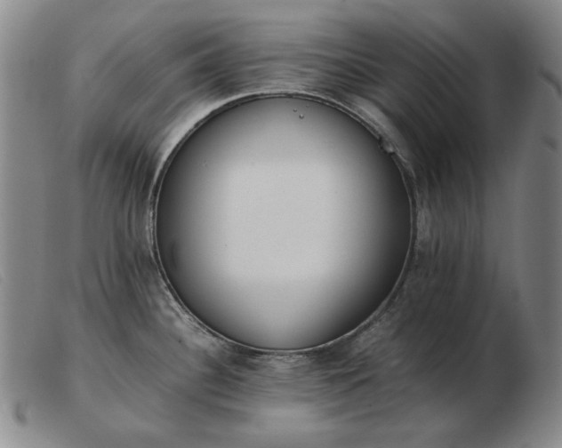 X0000103431340200809191652