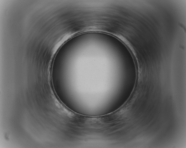 X0000103431341200809191652