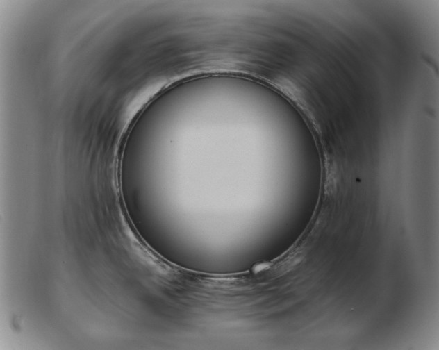 X0000103431342200809191652
