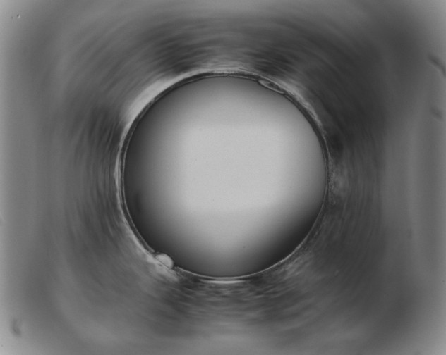 X0000103431343200809191652