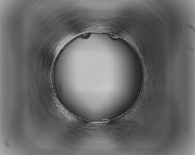 X0000103431344200809191652