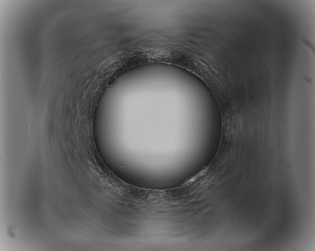 X0000103431345200809191651