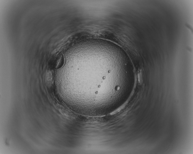 X0000103431347200809191651