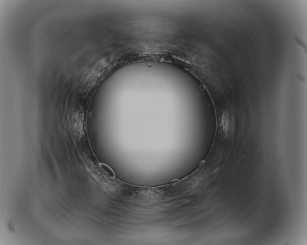 X0000103431348200809191651