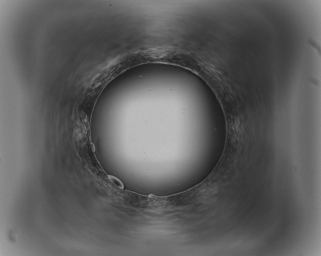 X0000103431349200809191651