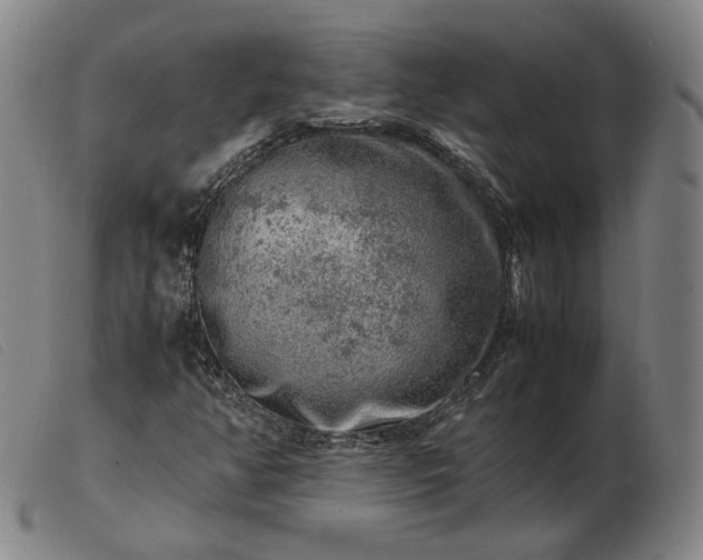 X0000103431350200809191651