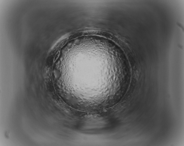 X0000103431351200809191651