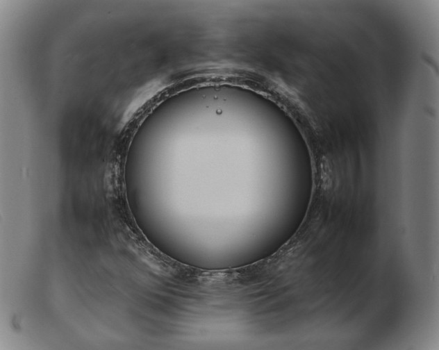X0000103431352200809191651