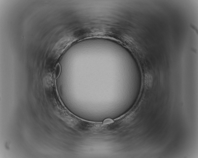 X0000103431353200809191651