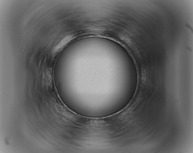 X0000103431354200809191651