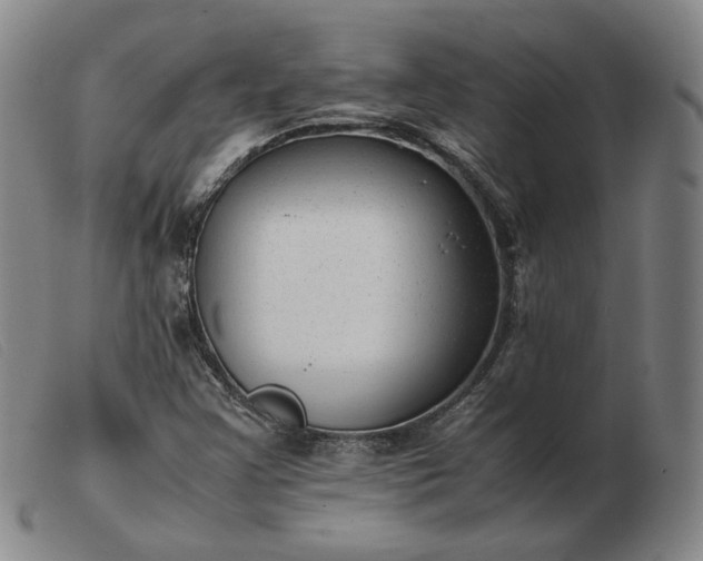X0000103431355200809191651