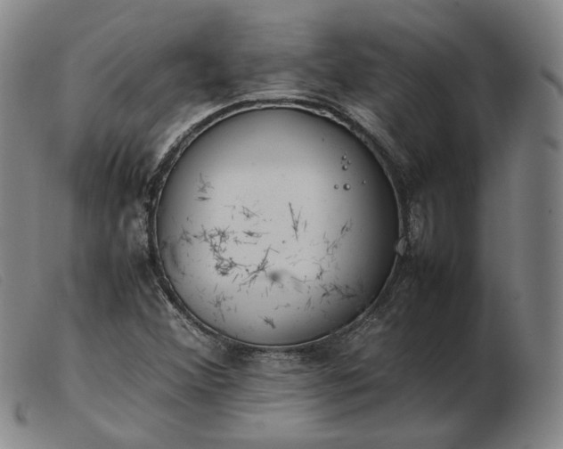 X0000103431356200809191651