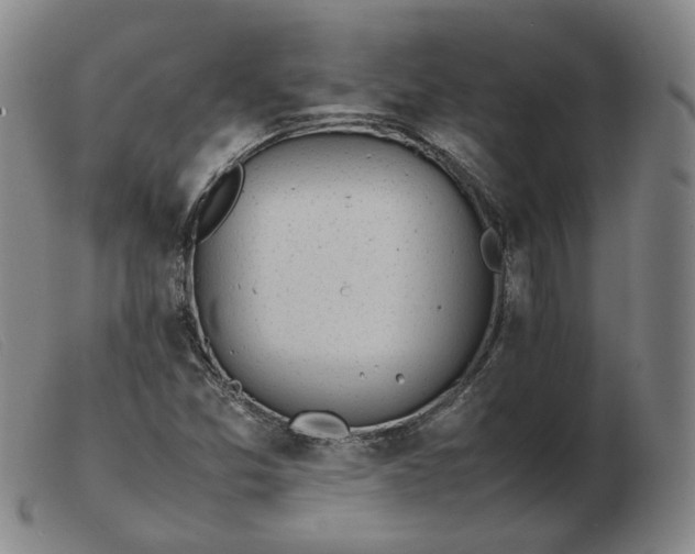 X0000103431357200809191651