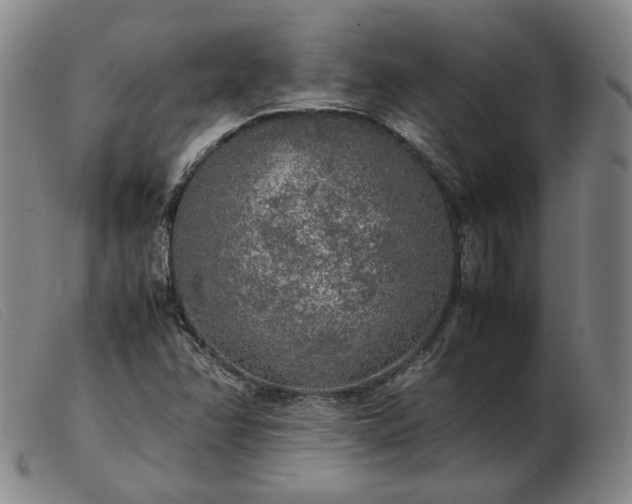 X0000103431358200809191651