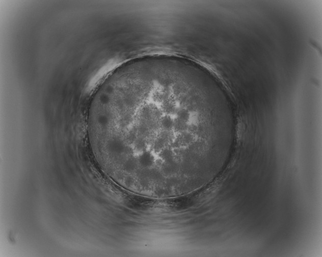 X0000103431359200809191651