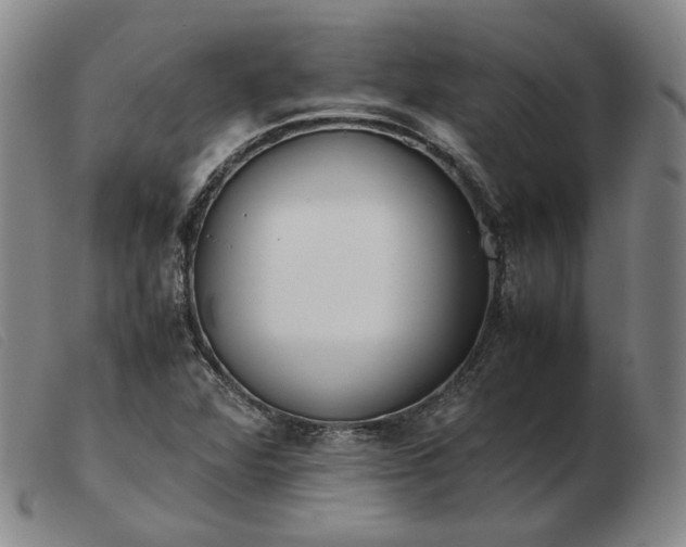 X0000103431360200809191651
