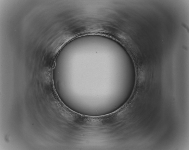 X0000103431361200809191651