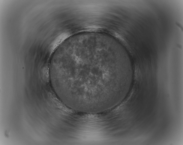 X0000103431362200809191651