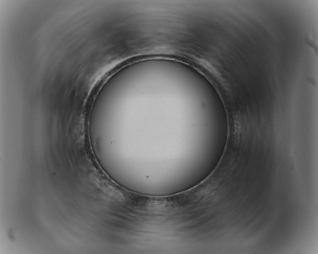X0000103431364200809191651