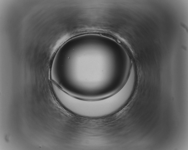 X0000103431365200809191651
