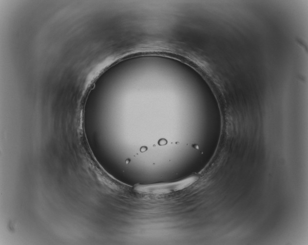 X0000103431366200809191651