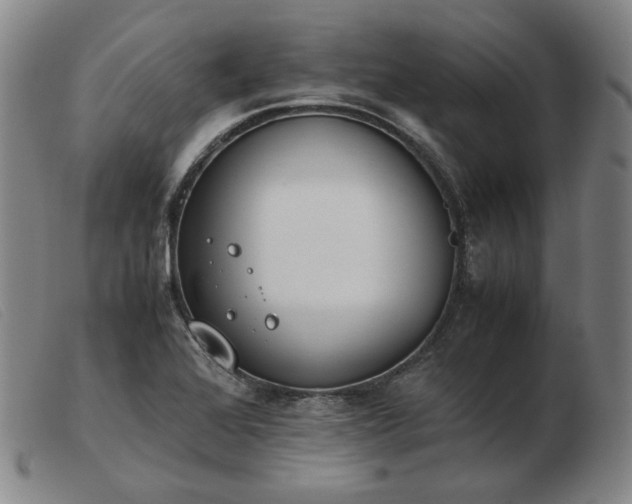 X0000103431368200809191651