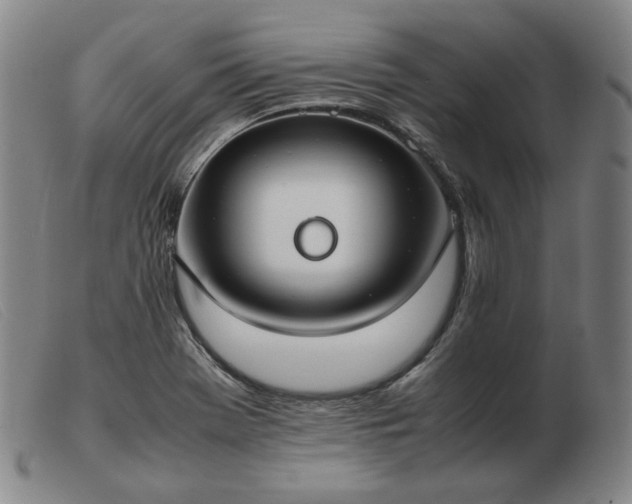X0000103431369200809191651