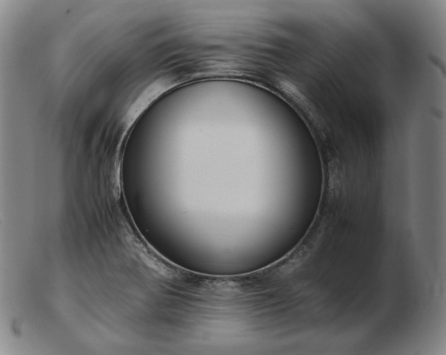 X0000103431370200809191651