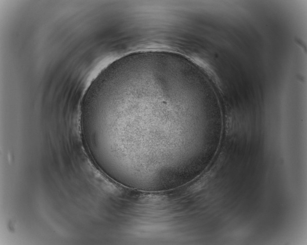 X0000103431374200809191650