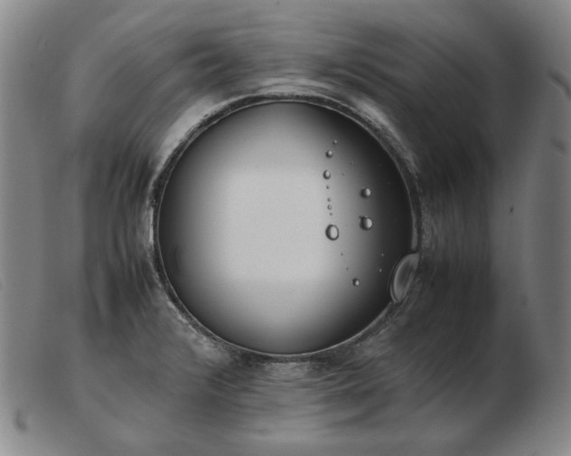 X0000103431376200809191650