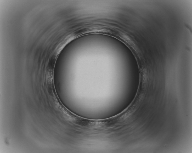 X0000103431377200809191650