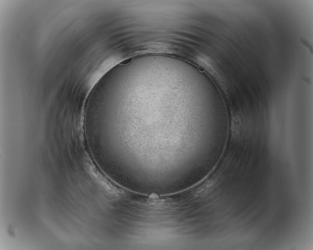 X0000103431378200809191650