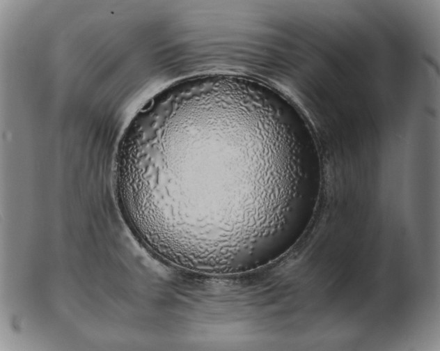 X0000103431379200809191650