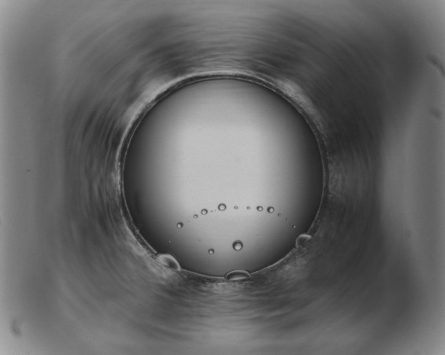 X0000103431380200809191650