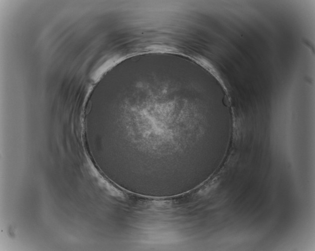 X0000103431381200809191650
