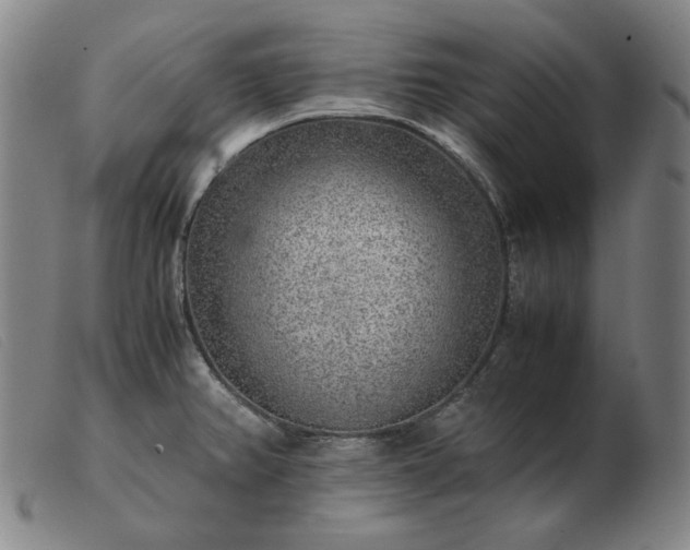 X0000103431382200809191650
