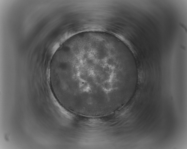 X0000103431383200809191650