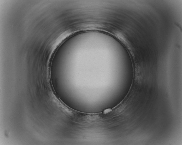 X0000103431384200809191650
