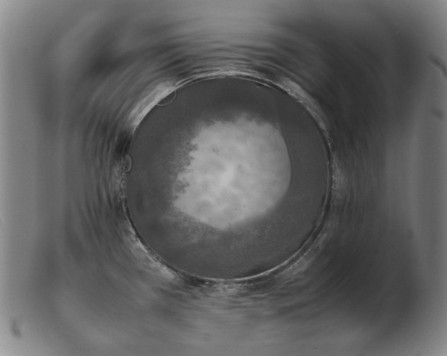 X0000103431385200809191650