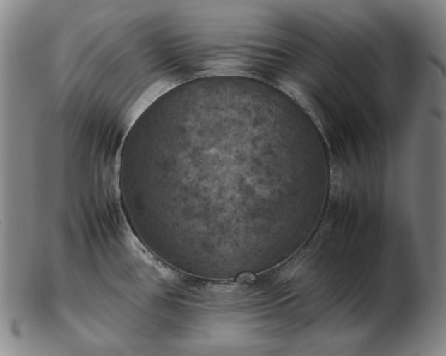 X0000103431386200809191650