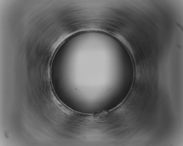 X0000103431388200809191650