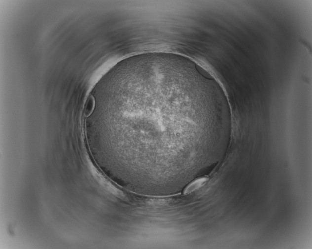 X0000103431389200809191650
