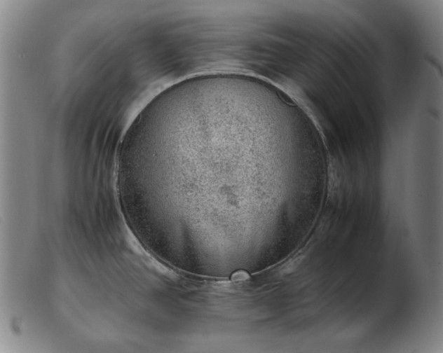 X0000103431390200809191650