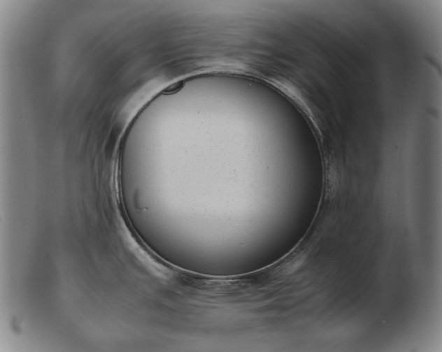 X0000103431391200809191650