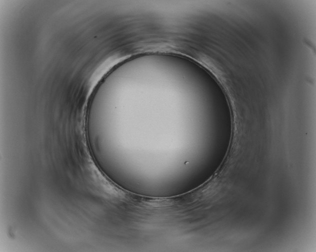 X0000103431392200809191650