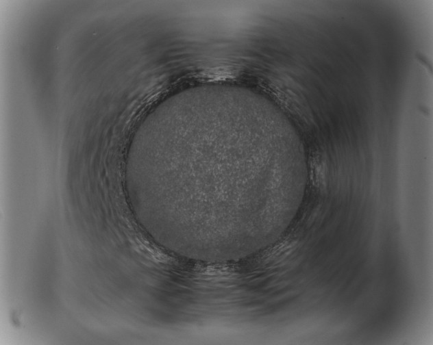 X0000103431393200809191650