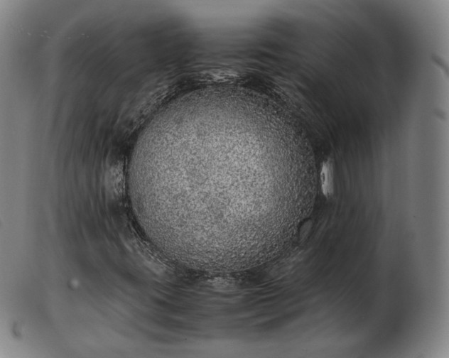 X0000103431395200809191650