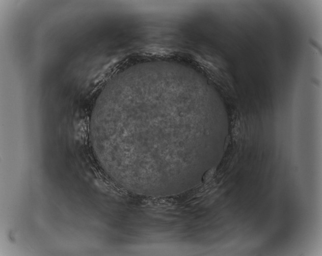 X0000103431397200809191650