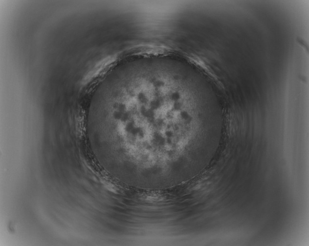X0000103431399200809191650