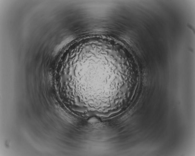 X0000103431402200809191650